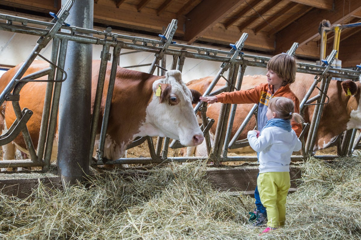 Reiten durch die Berge