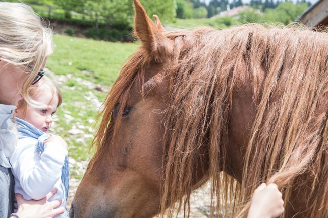 Reiten durch die Berge