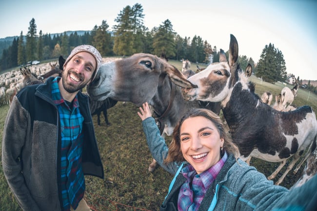 Reiten durch die Berge